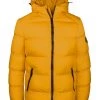 Gabbiano Winterjacke - Solar Yellow, Herren -Angebote Gabbiano Store d775676fb2834c3db187a1ef37e10322